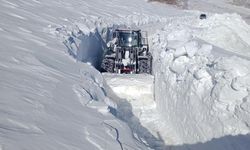 Hakkari'de kar mücadelesi devam ediyor: Yollar açılıyor