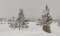 Ardahan'da kış masalı: Ağaçlar kırağıyla kaplandı, nehir buz tuttu