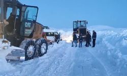 Muradiye'de kar kapalı yollar tekrar ulaşıma açıldı