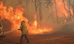 Orman yangınları Avustralya'yı tehdit ediyor: 30 Bin kişiye tahliye emri