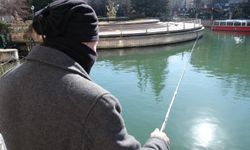 Eskişehir'li emekliler güneşli havayı balık tutarak değerlendiriyor