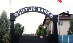 "Çiftlik Bank" davası: Tutuklu sanık Osman Naim Kaya tahliye edildi