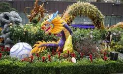 Singapur'da Ejderha Yılı coşkusu: Görkemli süslemeler ve Bahar Bayramı heyecanı