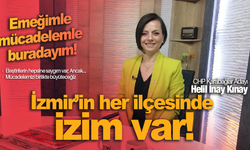 Helil İnay Kınay: Eleştirilere saygım var ama emeğimle, mücadelemle buradayım!
