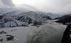 Soğuk hava barajı dondurdu: Göyne'de balık kafesleri buz altında