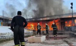 Diyarbakır'da yangın: 600 kuş ve 2 milyon TL zarar meydana geldi!