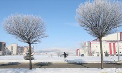 Doğu Anadolu'da dondurucu soğuk hayatı felç etti