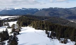 Küresel ısınma Yıldıztepe'yi de vurdu: Kayak sezonu tehlikede!