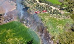 Osmaniye'de yangın panik yarattı: 5 dekar ormanlık alan zarar gördü
