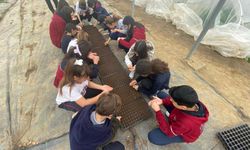 Tohumdan sofraya, geleceğe umut: Efes Tarlası'nda çocuklar toprağa dokunuyor