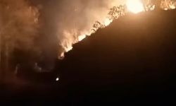 Rize'de orman yangını korkuttu: 10 dönümlük arazi küle döndü