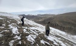 Kars'ta kış mevsiminin zorluklarına karşı yaban hayvanlarına destek