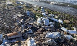 Körfez'de konteyner gemisi vinçlere çarptı, gıdalar ve içecekler denize dökülerek çevre kirliliğine yol açtı