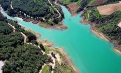 Adana'da kuraklık alarmı: Çukurova her an su krizine girebilir