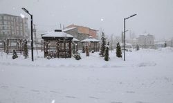 Mart ayında kar yağışı: Başkale'de 21 yerleşim yolu ulaşıma kapandı