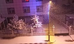 Erciş'te Mart ayında kar sürprizi: Çocuklar doyasıya eğlendi