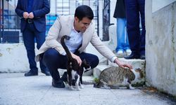 Cumhur İttifakı Bayraklı Belediye Başkan Adayı Bilal Kırkpınar'dan sokak hayvanları için müjdeli haber!