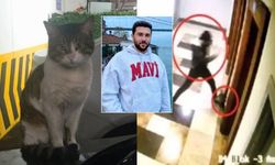 Başakşehir'de Kedi Eros'u Öldüren Sanığa Verilen Cezaya İtiraz!