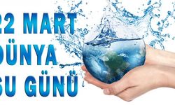 22 Mart Dünya Su Günü | Dünya su günü nedir?