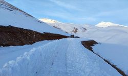 Beytüşşebap'ın Faraşin Yaylası'nda kardan kapanan yollar tekrar açılıyor