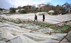 Antalya'da hortum felaketi: Seralar yerle bir, tarlalar zarar gördü