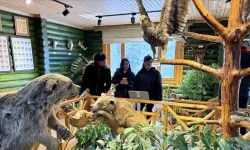 Abant Gölü Milli Parkı'nda yaban hayatı müzesi: 10 yılda 5 milyon ziyaretçi