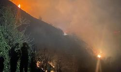 Trabzon'da orman yangını panik yarattı! Ekipler müdahalede