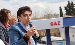Leyla Zana'dan CHP'ye sert eleştiri: "Neden size oy verelim?"