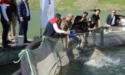 Şırnak’ta yeni istihdam kapısı mı açıldı? Kafeslerden 30 ton balık hasat edildi