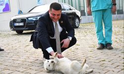 Torbalı'da Sokak Hayvanları Günü'ne özel ziyaret: Başkan Demir "Canbulans" projesini duyurdu