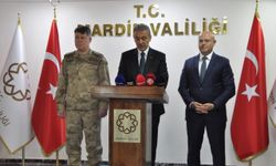 Mardin'de terörle mücadelede operasyonlar devam ediyor: 127 operasyonda 9 kişi tutuklandı