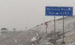 Kar ve sis kabusu: Doğu Anadolu'da trafik felç!