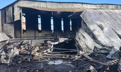 Mersin'de narenciye tesisinde yangın: Tesis küle döndü!