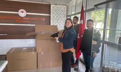 Samsun'da kahverengi kokarcayla mücadelede önemli adım: 250 hunili tuzak dağıtıldı!