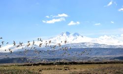 Erciyes Dağı eteğinde doğal cennet: Hürmetçi Sazlığ