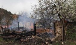 Çankırı'nın Yapraklı ilçesinde közden çıkan ateş köyü yaktı!