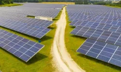 Bergama'da UNESCO mirası tarım arazisine güneş enerjisi santrali: ÇED gerekli değil!