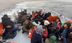 15 çocuk da dahil 44 kaçak göçmen Ayvacık'ta kurtarıldı!