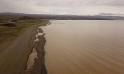 Şaşırtıcı Manzara: Van Gölü Kahverengiye Büründü!