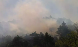 Bursa'yı alevler sardı! Ormanlık alanda yangın çıktı