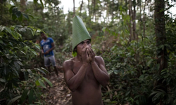Brezilya ve Kolombiya'da ağaç kaybı azaldı