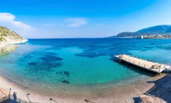 İzmir'de eşsiz güzellikteki bir denizde, balıklarla yüzmek mümkün: Mimoza Koyu nerede? Mimoza Koyu'na nasıl gidilir?