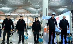 Karşınızda ilk terapi köpekleri Alita, Kuki, Moka, Hektor ve Liza… Stres yaşayan yolcuları sakinleştiriyorlar
