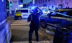 Norveç'te camilere nöbet: polis memurları silahlandırıldı!