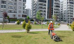 Osmaniye'de bahar temizliği başladı: Parklar, bahçeler ve mesire alanları yenileniyor!