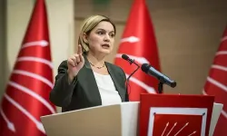 Selin Sayek Böke kimdir? CHP Genel Sekreteri Selin Sayek Böke hangi görevlerde bulundu?