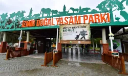 İzmir Sasalı Doğal Yaşam Parkı'na nasıl gidilir? 2024 Doğal Yaşam Parkı giriş ücretleri ne kadar?