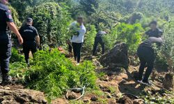 Sakarya Karasu'da ormana gömülü esrar yakalandı, 1 şüpheli gözaltına alındı!