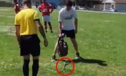 Futbolcular yılan korkusuyla kaçtı: Hakem kahramanca mücadele etti!