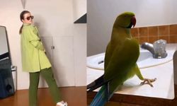 Bir kullanıcı sosyal medyada kuşun hareketlerini taklit ettiği dans videosu ile gündem oldu